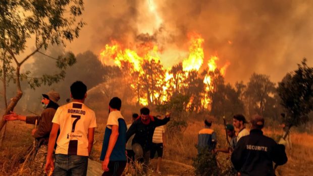 الحرائق أودت بحياة 38 شخصا.. وجزائريون يتساءلون أين طائرات الإطفاء؟