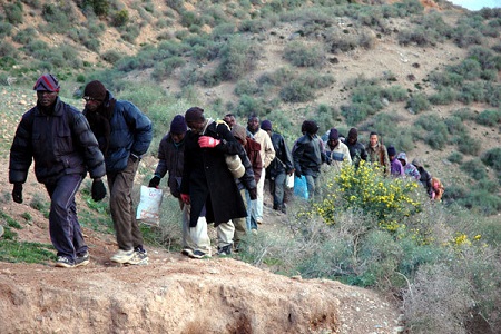 مخبيين فغابة “كوروكو”.. الأمن يعتقل 25 مهاجرا سريا قرب مليلية
