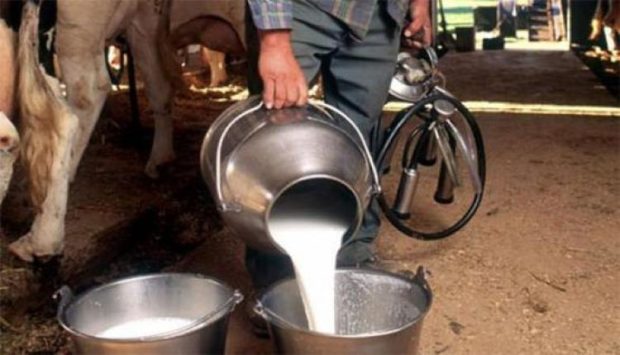 الحكومة: أزمة الحليب موسمية… ونضع اللمسات الأخيرة على مجموعة من الحلول