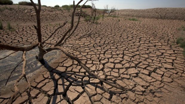 خبير بيئي: الوضع المائي في المغرب “كارثي” والزراعات المستنزفة للماء خاصها تمنع
