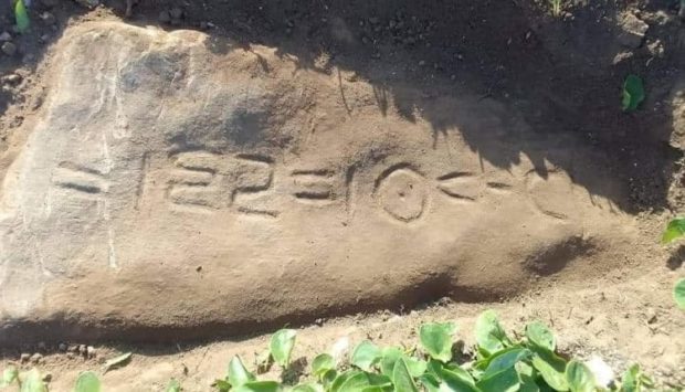 يعود لعصور ما قبل الإسلام.. تفاصيل جديدة حول اكتشاف نقش “تيفيناغ” على صخرة بالجديدة