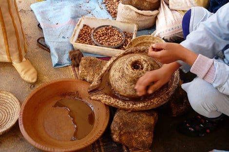 رمز للتحديات البيئية.. احتفاء مغربي أممي باليوم العالمي لشجرة الأركان