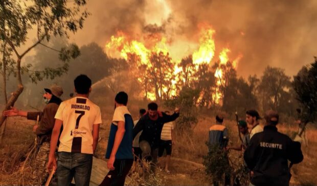حرائق الغابات.. مقتل 34 شخصا في الجزائر