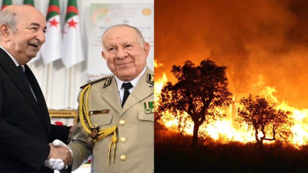 حرائق الغابات في الجزائر.. فرحات مهني يتهم العسكر بالإبادة الجماعية للقبايليين