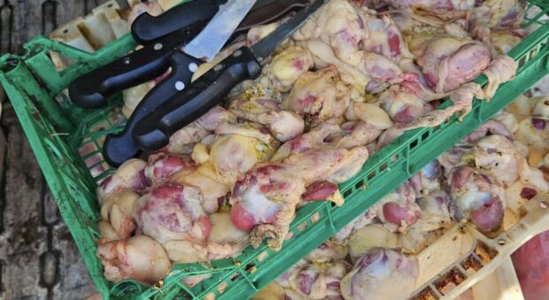 ردو البال منين كتقداو.. السلطات تغلق 20 محلا لبيع الدجاج في كازا (صور)