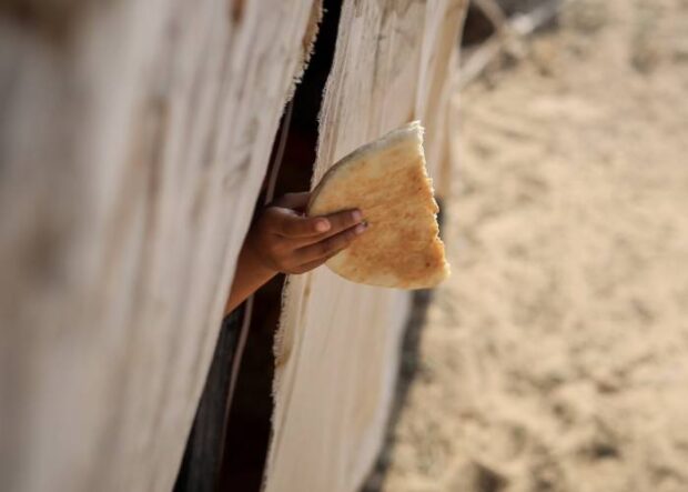 الأمم المتحدة: أنظمة الغذاء تنهار بغزة والمساعدات تكفي 10 في المائة فقط