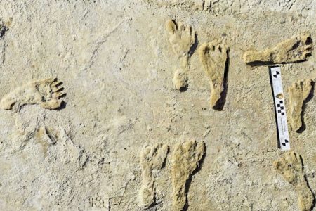 العرائش.. اكتشاف أقدم آثار أقدام بشرية بشمال إفريقيا وجنوب البحر الأبيض المتوسط