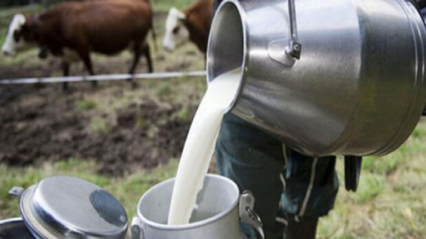 أزمة الحليب تلوح في الأفق.. واش الثمن غادي يتزاد فرمضان؟