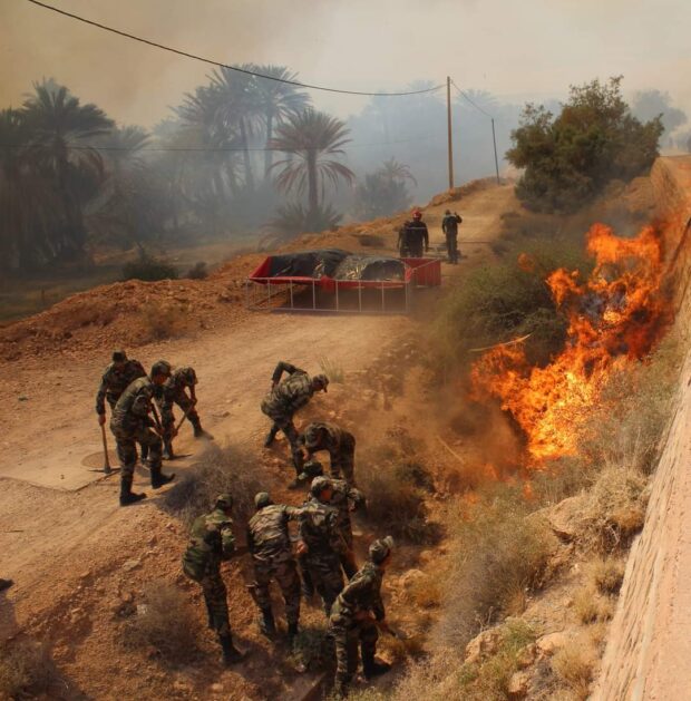 بالصور.. الجيش يساهم في إخماد حريق ضواحي الرشيدية