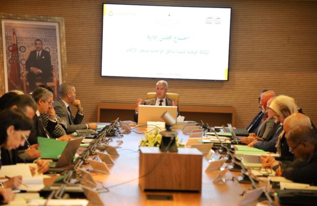 في اجتماع مع وزير الفلاحة.. يعقوبي تعلن عن استراتيجية جديدة لتنمية مناطق الواحات وشجر الأركان
