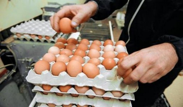 ارتفاع أسعار البيض في رمضان.. مهني يوضح