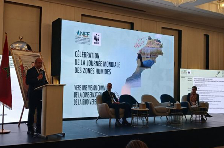 مؤتمر زيمبابوي.. المغرب يسجّل انتصارًا دبلوماسيًا بتصدّيه لمشروع قرار جزائري يستهدف وحدته الترابية